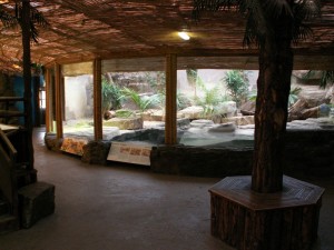 Example of reptile enclosure at a zoo